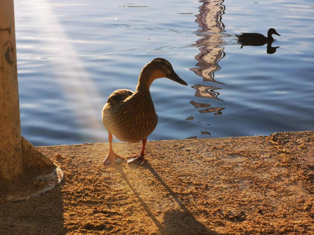 Ferienparadies Gutounik Portschach am Woerthersee Ngoại thất bức ảnh